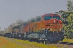 BNSF 7794 West